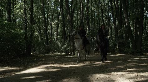 the beast yify|1337x .